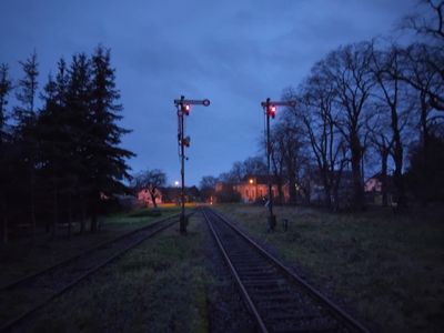 31_20251208