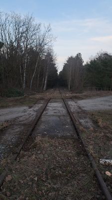44_260228