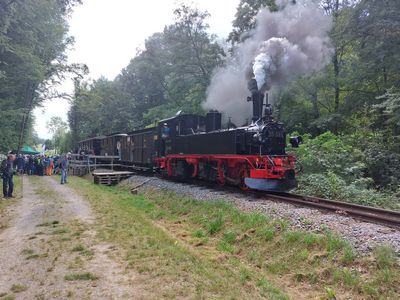 Schbtb_30_2025