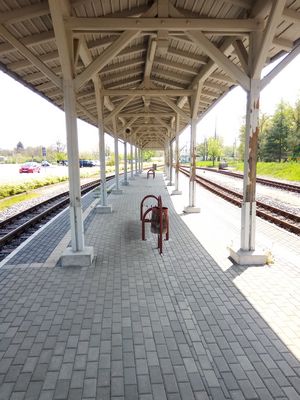 WR_07_20220503