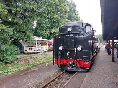 ZSPB_39_20250711